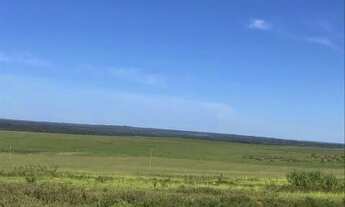 Imagem 2: Fazenda dupla aptidão para venda na região de Nova Mutum-MT com 20.100 hectares sendo 6.00