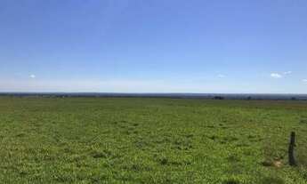 Imagem 5: Fazenda dupla aptidão para venda na região de Nova Mutum-MT com 20.100 hectares sendo 6.00