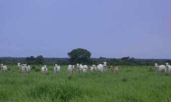 Imagem: Fazenda grande extensão a venda na região