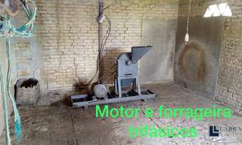 Imagem 7: Sitio dupla aptidão para venda em Floriano-PI com 70,5 hectares, atual na pecuária, terra