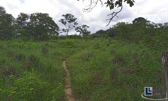 Imagem 3: Sitio dupla aptidão para venda em Floriano-PI com 70,5 hectares, atual na pecuária, terra