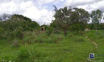 Imagem: Sitio dupla aptidão para venda em Floriano-PI