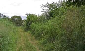 Imagem 4: Sitio dupla aptidão para venda em Floriano-PI com 70,5 hectares, atual na pecuária, terra