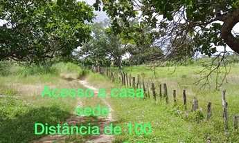 Imagem 6: Sitio dupla aptidão para venda em Floriano-PI com 70,5 hectares, atual na pecuária, terra