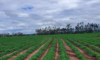 Imagem 3: Fazenda para venda na região de Itaja-GO com 798 hectares na soja, área ideal para lavoura