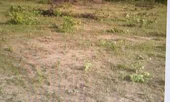 Imagem 4: Fazenda para venda na região de Colinas do Sul-GO com 4.500 hectares com aproveitamento de