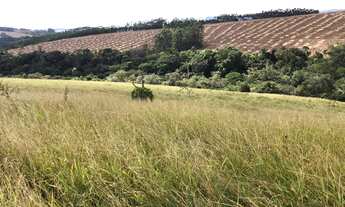 Imagem 2: Sitio para venda na região de São Carlos-SP com 33 alqueires, 80% aproveitamento pecuária