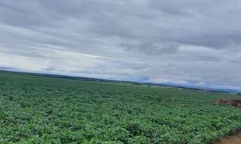 Imagem 4: Fazenda para venda na região de Itaja-GO com 798 hectares na soja, área ideal para lavoura
