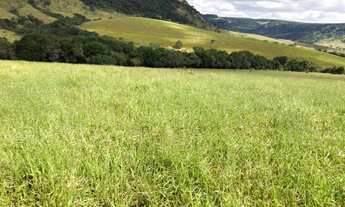 Imagem: Sitio para venda na região de São Carlos-SP