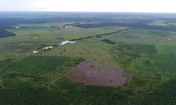 Imagem 4: Fazenda dupla aptidão para venda na região de Aliança do Tocantins-TO com 1.338 hectares