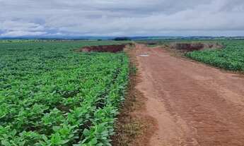 Imagem 7: Fazenda para venda na região de Itaja-GO com 798 hectares na soja, área ideal para lavoura