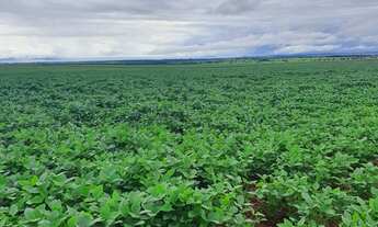 Imagem: Fazenda para venda na região de Itaja-GO