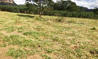 Imagem 6: Sitio para venda na região de São Carlos-SP com 33 alqueires, 80% aproveitamento pecuária