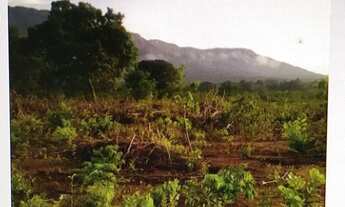 Imagem 5: Fazenda para venda na região de Colinas do Sul-GO com 4.500 hectares com aproveitamento de