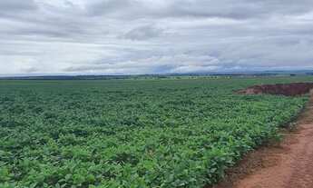 Imagem 5: Fazenda para venda na região de Itaja-GO com 798 hectares na soja, área ideal para lavoura