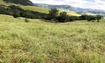 Imagem 5: Sitio para venda na região de São Carlos-SP com 33 alqueires, 80% aproveitamento pecuária