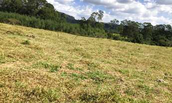 Imagem 3: Sitio para venda na região de São Carlos-SP com 33 alqueires, 80% aproveitamento pecuária