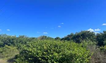 Imagem: Oportunidade. Fazenda para venda na região