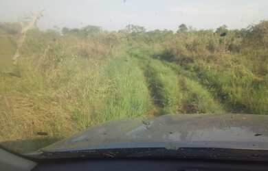 Imagem 6: Fazenda na pecuária para venda na região de Corumba-MS no Pantanal com 1.990 hectares, óti