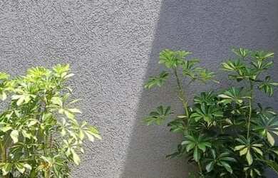 Imagem 5: Magnífica residência para venda no charmoso Alphaville 3 em Bonfim Paulista, 4 suítes, cin