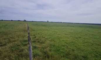 Imagem: Fazenda na pecuaria para venda na região