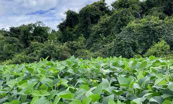 Imagem: Fazenda dupla aptidão para venda na região