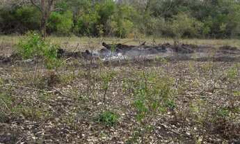 Imagem: Fazenda para venda na região de Corumba-MS