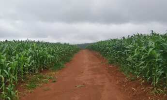 Imagem 2: Area / Sitio para venda na região de Capitólio-MG com 62 hectares, beira da represa, atual