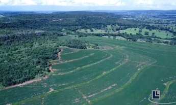 Imagem 2: Excelente fazenda para lavoura a venda na região do Prata-MG com 250 hectares sendo 180 he