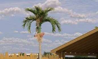 Imagem 2: Lançamento de lotes em Rifaina-SP, Condomínio Angra Residence, lote com 747 m2, infraestru