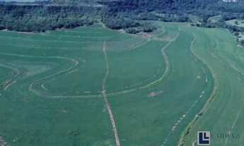 Imagem 6: Excelente fazenda para lavoura a venda na região do Prata-MG com 250 hectares sendo 180 he