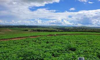 Imagem 5: Excelente fazenda para lavoura a venda na região do Prata-MG com 250 hectares sendo 180 he