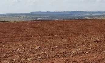 Imagem 3: Excelente fazenda para lavoura a venda na região do Prata-MG com 250 hectares sendo 180 he