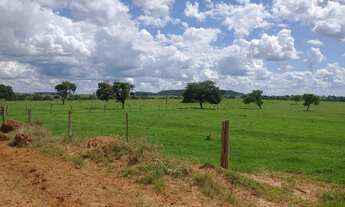 Imagem 2: Fazenda para venda na região de Inocencia-MS com 115 alqueires montada na pecuária, boa de
