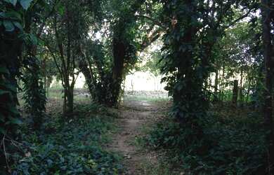 Imagem 5: Oportunidade. Lote com 20.000 m2 para rancho a venda em Guatapara-SP na beira do Rio Mogi