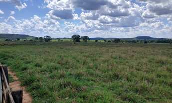 Imagem 7: Fazenda para venda na região de Inocencia-MS com 115 alqueires montada na pecuária, boa de