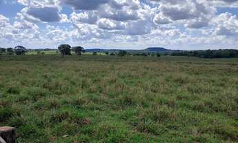 Imagem 6: Fazenda para venda na região de Inocencia-MS com 115 alqueires montada na pecuária, boa de