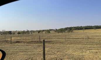 Imagem 5: Fazenda para venda na região de Inocencia-MS com 115 alqueires montada na pecuária, boa de