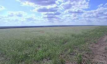 Imagem: Fazenda para venda na regiao de Bom Jesus-PI