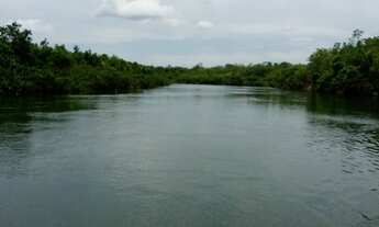 Imagem 2: Fazenda bruta para venda na região de Porto Alegre do Tocantins-TO com 3.100 hectares, ben