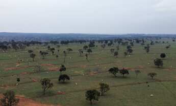 Imagem: Fazenda para venda na região de Amambai-MS