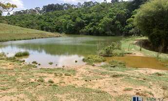 Imagem 2: Excelente fazenda dupla aptidão para venda na região do Pratinha-MG com 392 hectares, apro