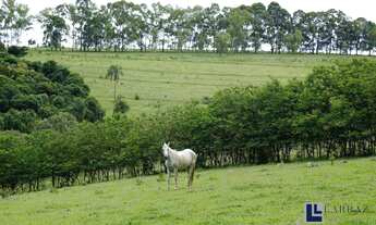 Imagem 3: Excelente fazenda dupla aptidão para venda na região do Pratinha-MG com 392 hectares, apro