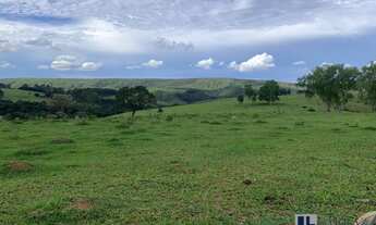 Imagem 6: Excelente fazenda dupla aptidão para venda na região do Pratinha-MG com 392 hectares, apro