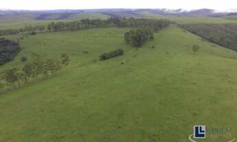 Imagem: Excelente fazenda dupla aptidão para venda
