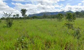 Imagem 2: Fazenda dupla aptidão para venda na região de Centenario-TO com 3.100 hectares, aproveita