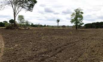 Imagem: Fazenda para venda em Peixe-TO com 122,23