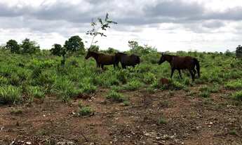 Imagem 2: Fazenda para venda em Peixe-TO com 122,23 hectares em pastagem formada, beira de rio, casa