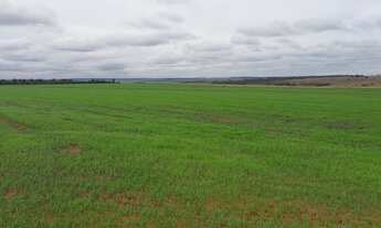 Imagem: Fazenda para venda na região de Presidente