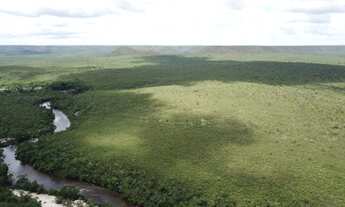 Imagem 5: Fazenda bruta para venda no Norte de Minas na região de Montalvania-MG com 4.300 hectares